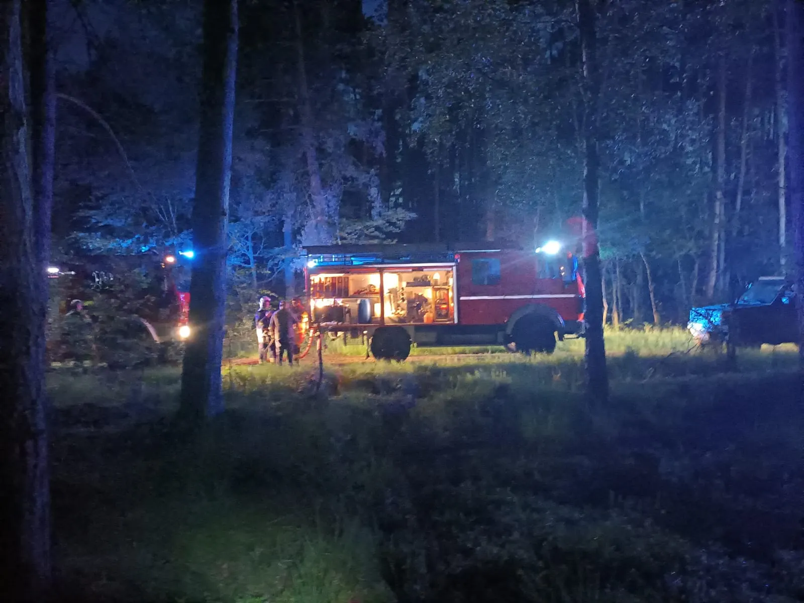 Pożar lasu w pobliżu Koniowa — działania OSP